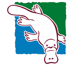 Camden City Council